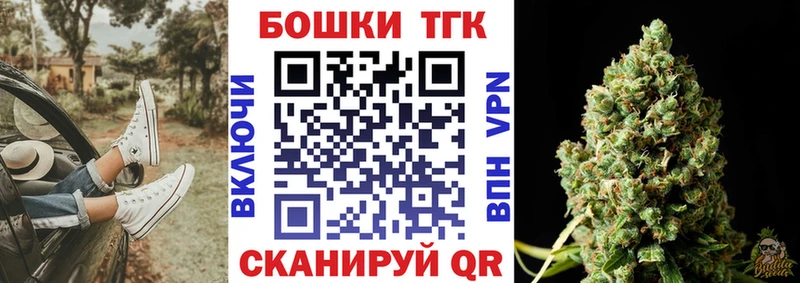 ГАШ Никольск