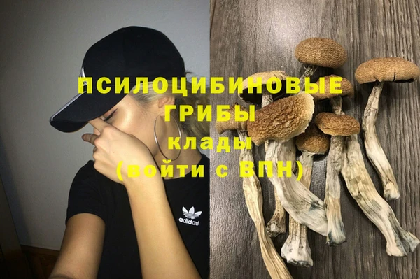 кокс Магас