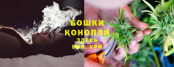 герыч Мегион