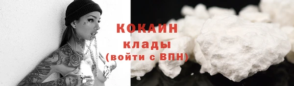 герыч Мегион